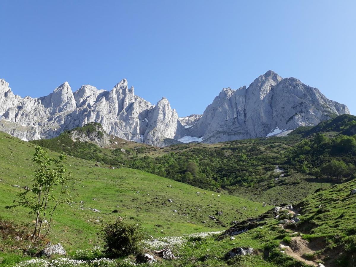 Апартаменты Bichlhof Going Going am Wilden Kaiser Экстерьер фото